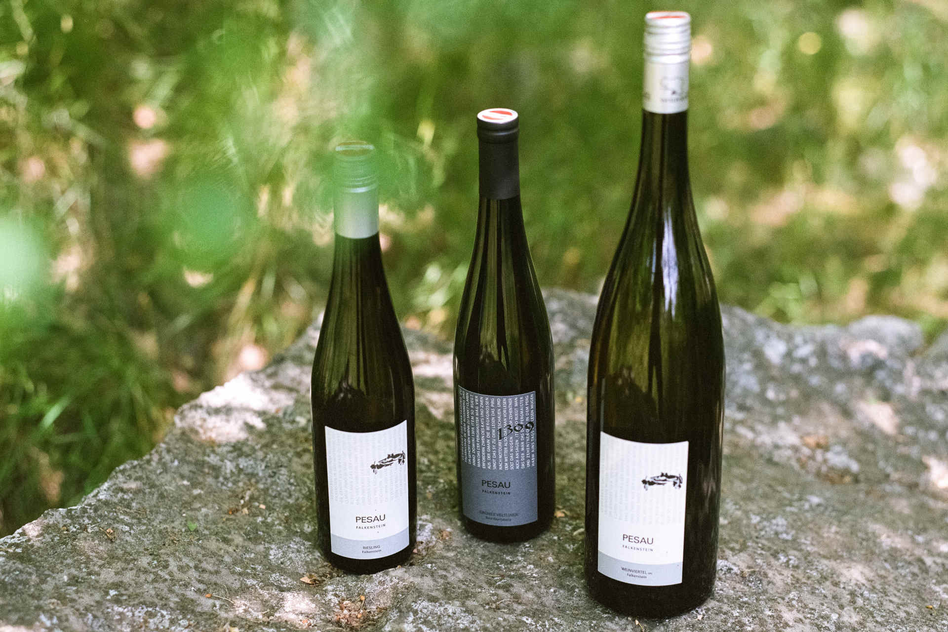 The vines of the Pesau winery. © Pesau Winery