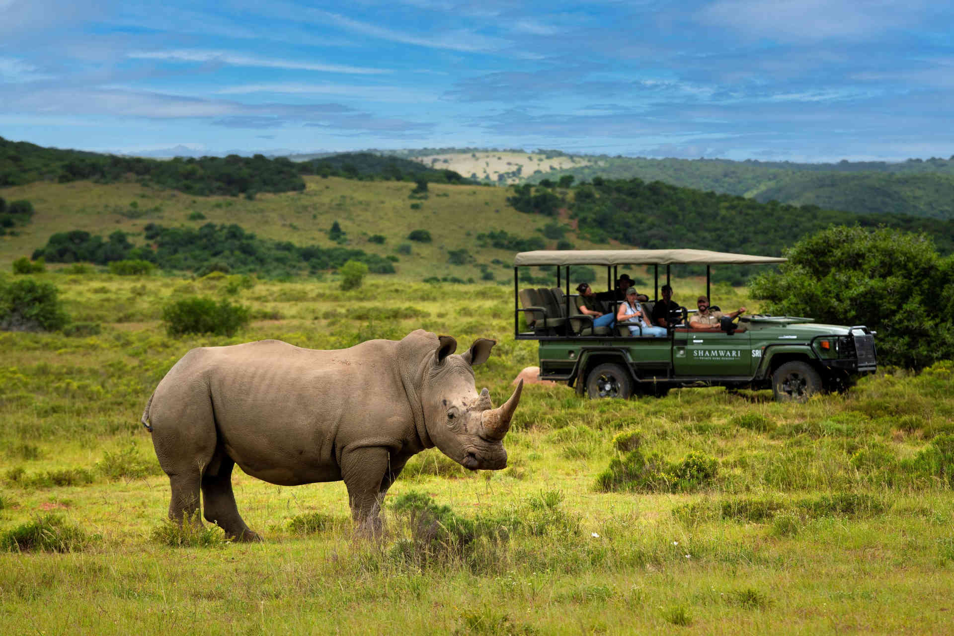 Nashorn © Shamwari Private Game Reserve