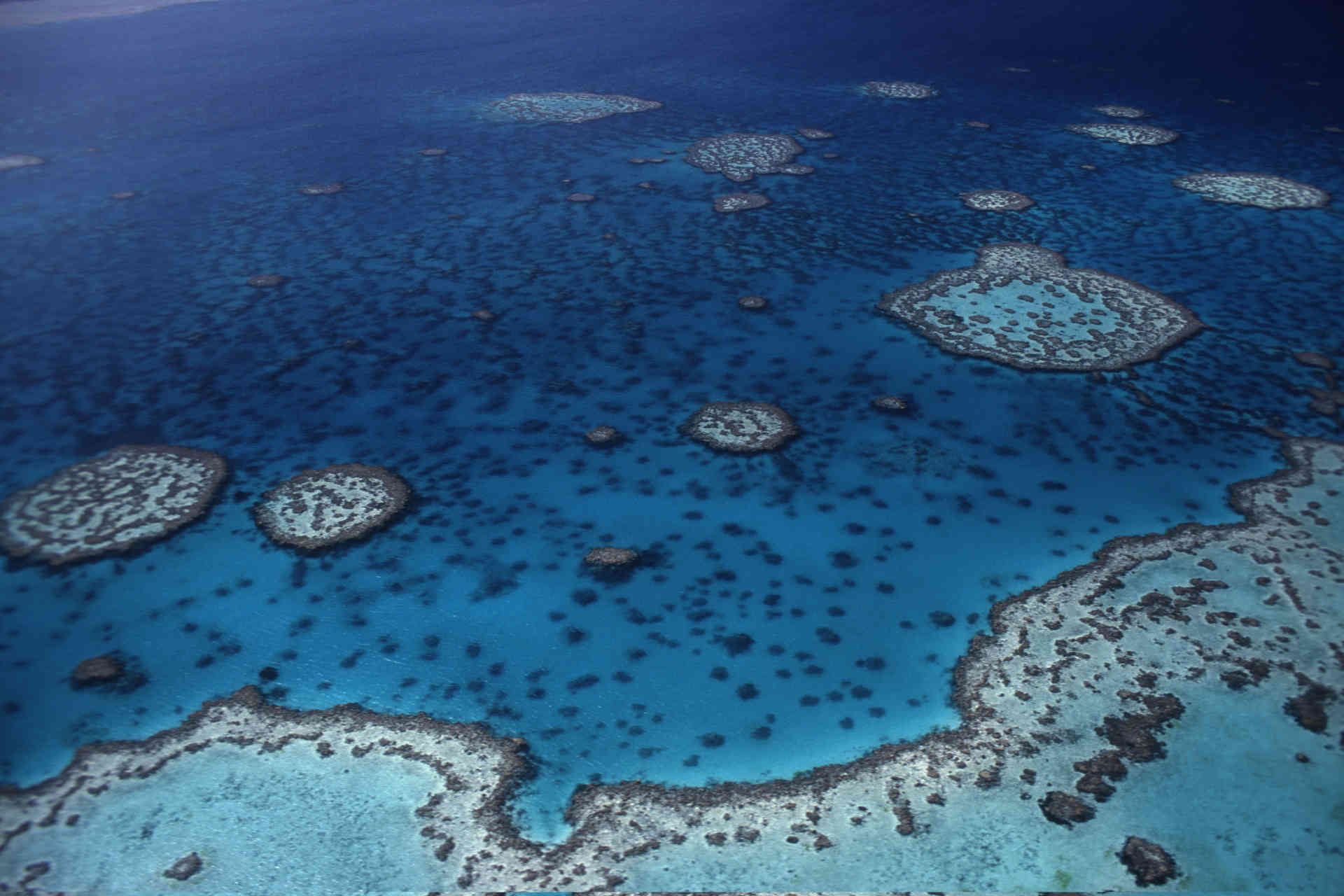 Aerial view of the Great Barrier Reef and Coral Sea, Australia, photo provided