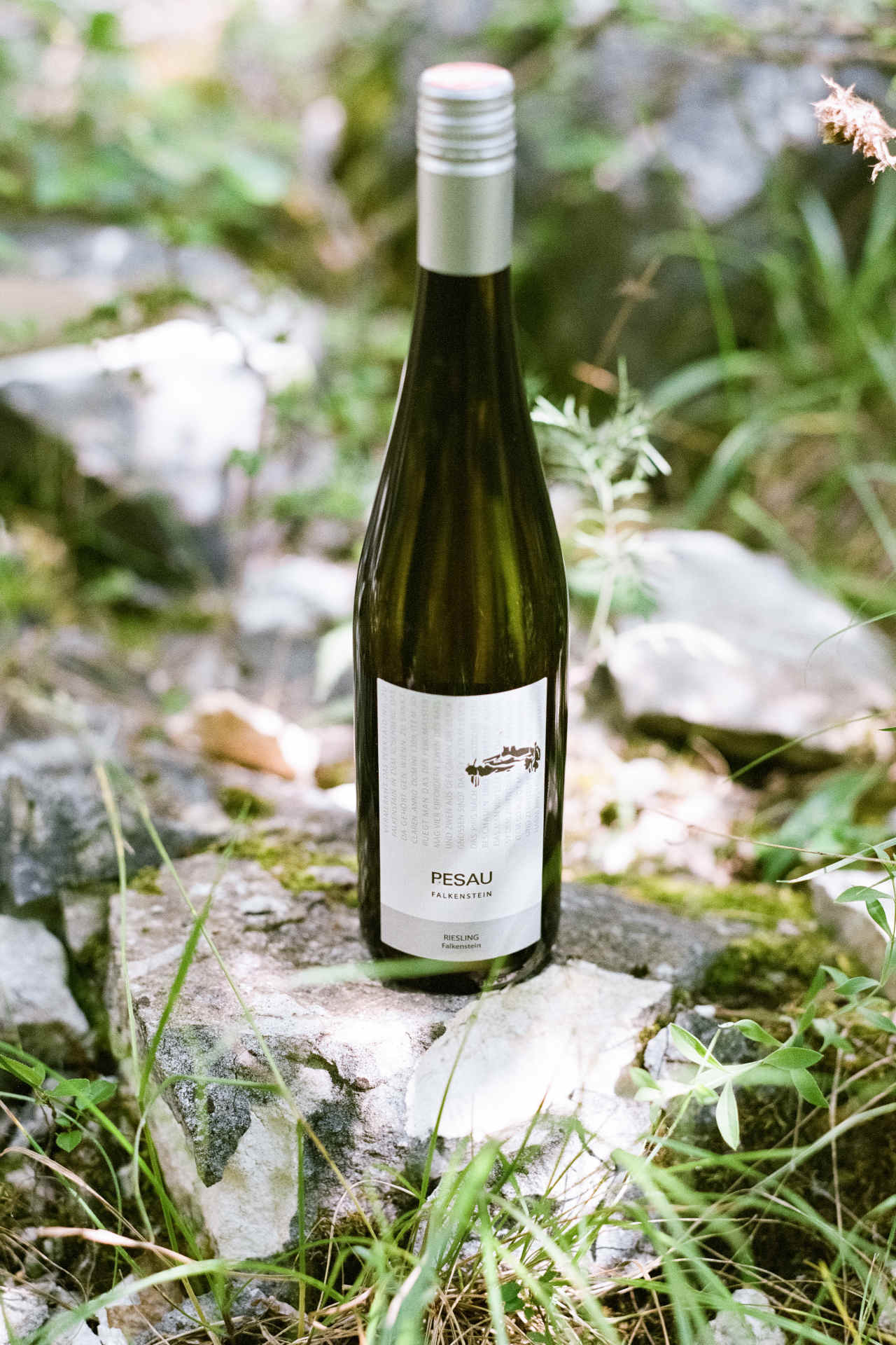 The winery's range of varieties also includes Riesling. © Pesau Winery