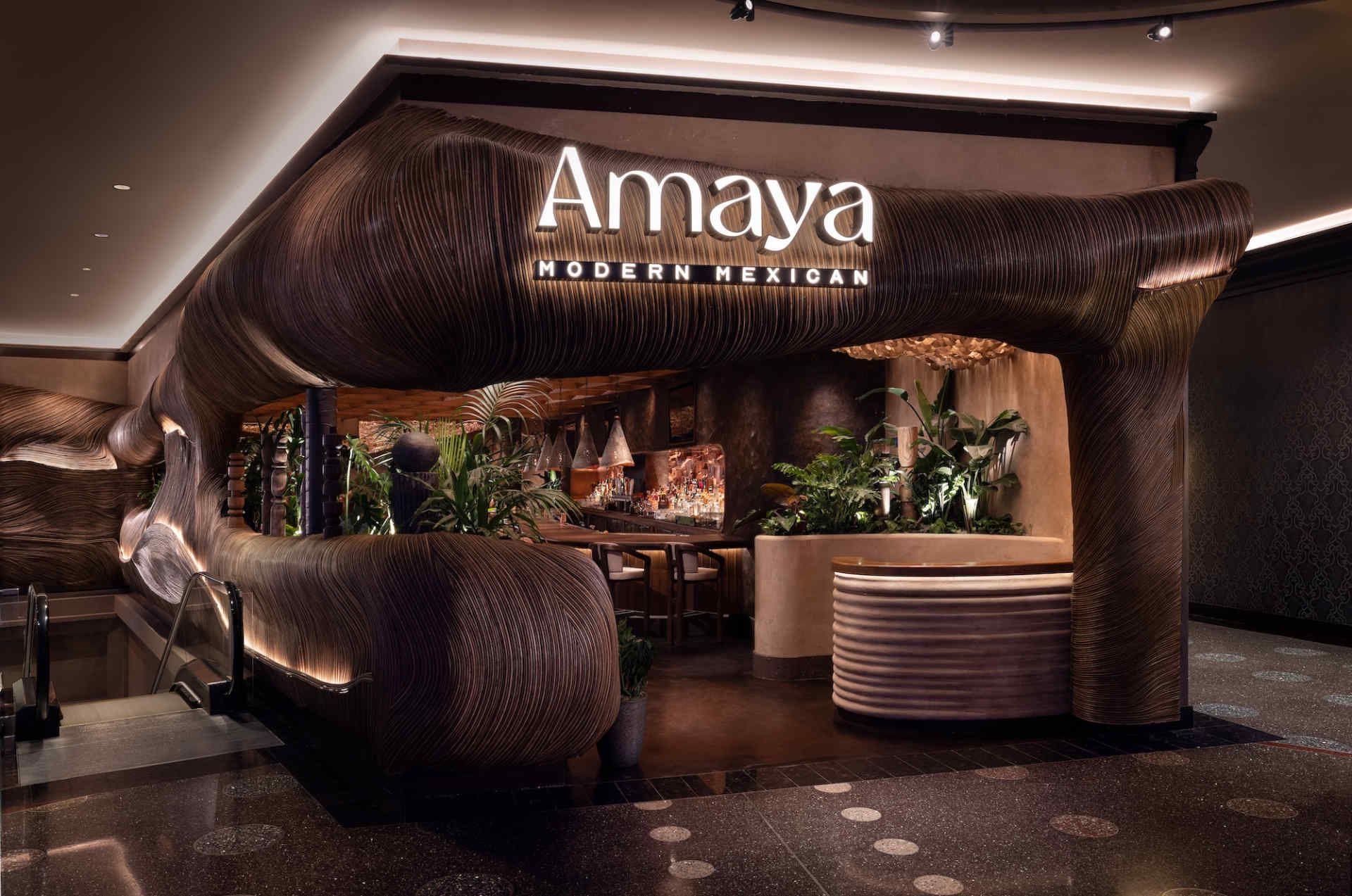 Amaya Modern Mexican © Clint Jenkins